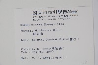 破布烏藏品圖，第2張