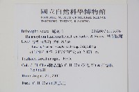 刀傷草藏品圖，第2張