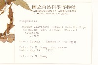 刀傷草藏品圖，第4張