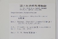 水鴨腳藏品圖，第2張