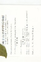 芋葉括樓藏品圖，第2張