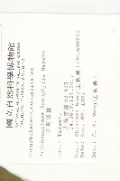 芋葉括樓藏品圖，第2張