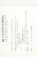 俄氏虎皮楠藏品圖，第2張