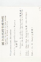 裂緣花藏品圖，第2張