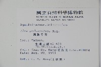 刻脈冬青藏品圖，第2張