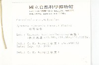 白花牽牛藏品圖，第2張