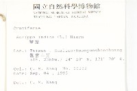 葶藶藏品圖，第2張