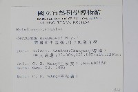 阿里山千金榆藏品圖，第2張