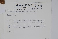 日本小檗藏品圖，第2張