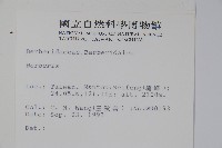 日本小檗藏品圖，第2張