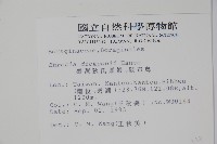 破布烏藏品圖，第2張