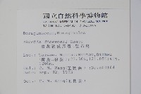 破布烏藏品圖，第2張