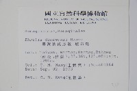 破布烏藏品圖，第2張