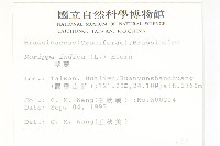 葶藶藏品圖，第2張