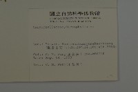 三脈種阜草藏品圖，第2張