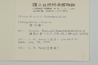 藜、灰藜藏品圖，第2張