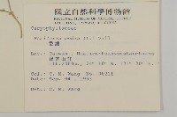 繁縷藏品圖，第2張