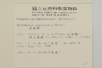 茵蔯蒿藏品圖，第2張