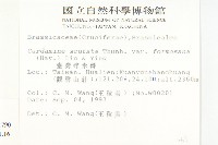 焊菜藏品圖，第2張