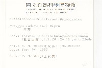 葶藶藏品圖，第2張