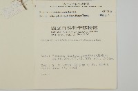 玉山抱莖籟簫藏品圖，第2張