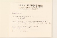 加拿大蓬藏品圖，第2張