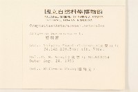 野塘蒿藏品圖，第2張