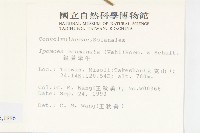 銳葉牽牛藏品圖，第2張