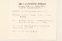 蔓澤蘭藏品圖，第2張