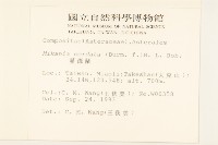 蔓澤蘭藏品圖，第2張