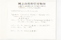 金網中牽牛藏品圖，第2張