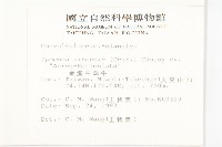 金網中牽牛藏品圖，第2張