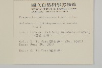 山艾藏品圖，第2張