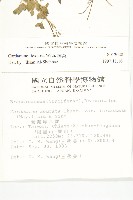 焊菜藏品圖，第2張