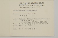 刺果衛矛藏品圖，第2張