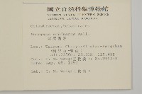 刺果衛矛藏品圖，第2張