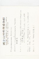 裂緣花藏品圖，第2張