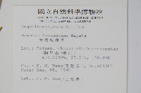 臺灣秋海棠藏品圖，第2張