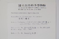 臺灣牛嬭菜藏品圖，第2張