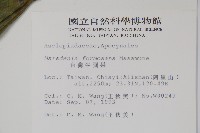 臺灣牛嬭菜藏品圖，第2張