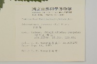 下田菊藏品圖，第2張