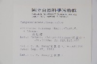 山桔梗藏品圖，第2張