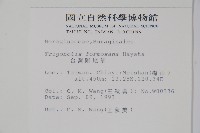 臺灣附地草藏品圖，第2張