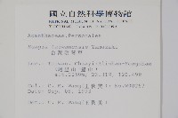 臺灣明萼草藏品圖，第5張