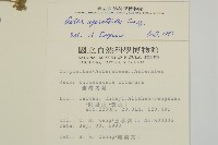 山白蘭藏品圖，第2張