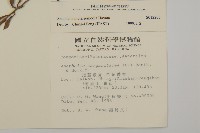 玉山抱莖籟簫藏品圖，第2張