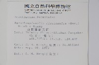 曲莖馬藍藏品圖，第2張