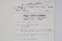 毛瓣蝴蝶木藏品圖，第2張