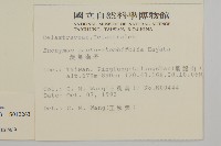 菱葉衛矛藏品圖，第2張