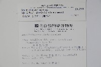 倒卵葉冬青、金平氏冬青藏品圖，第2張